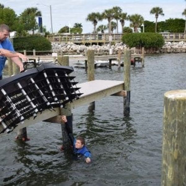 Reef project helps filter local waters