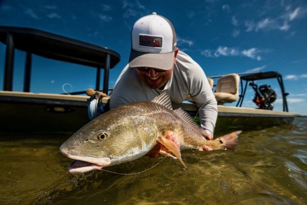 Tune up for the redfly