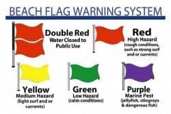 LifeLines: Beach flags