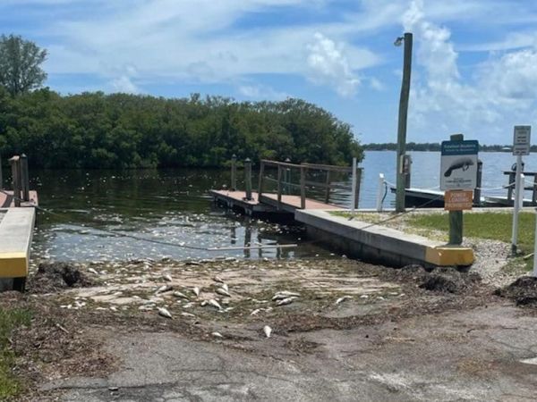 Red tide, respiratory irritation, fish kills linger
