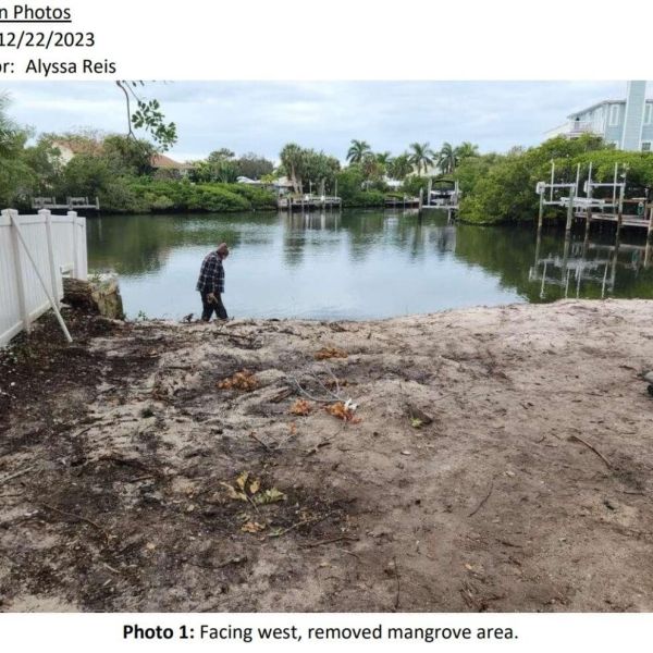 Mangrove removal under Army Corps review