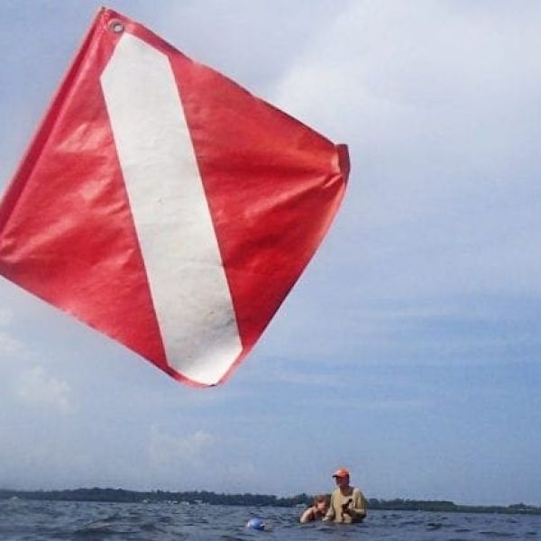 LifeLines: Diving and snorkeling