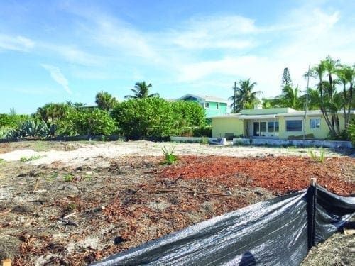 Dune vegetation destruction