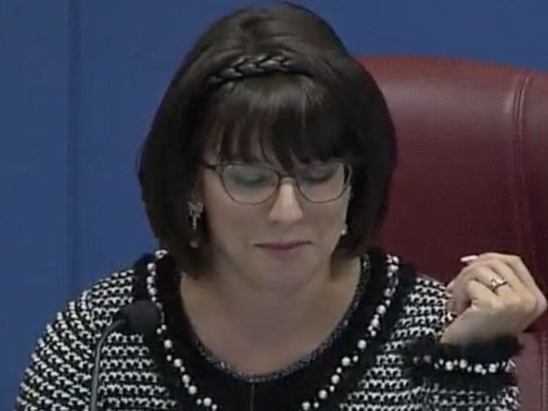Library advisory board to expand