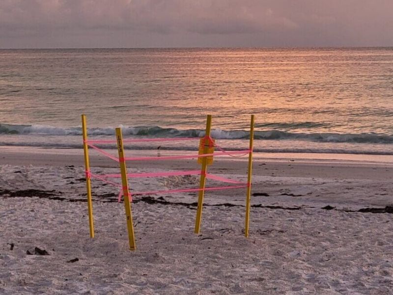 Year in review: Environment