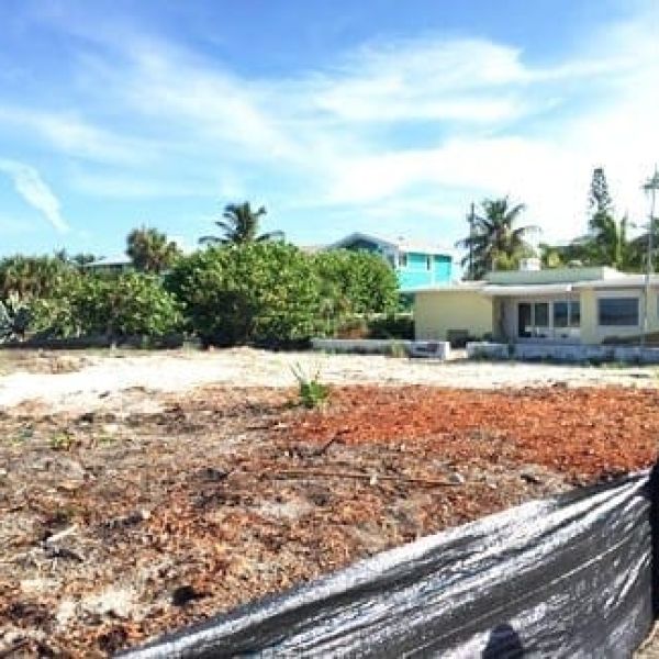 Dune destruction 77th Street