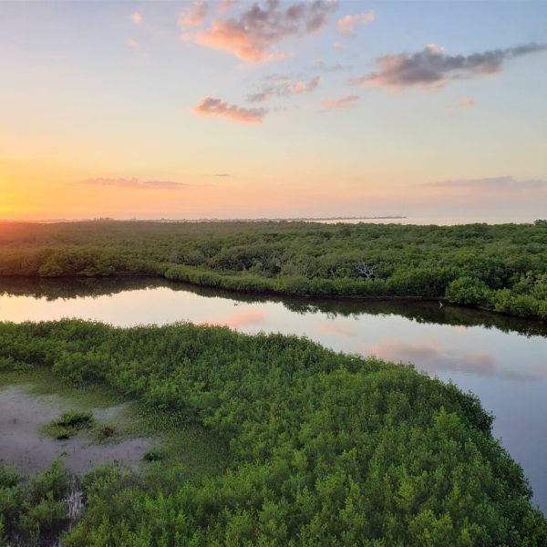 Commissioners shrink wetland buffers