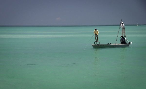 Reel Time: Tarpon time