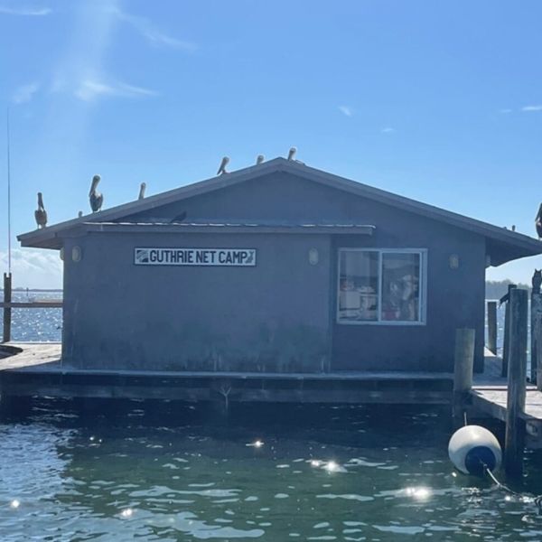 State seeks contempt ruling in net camp case