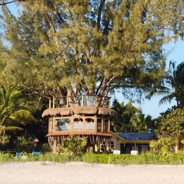 More fines added to treehouse owners&rsquo; tab with Holmes Beach