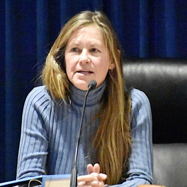 Holmes Beach officials critique consolidation study