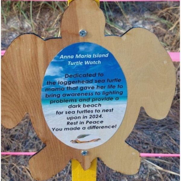 Loggerhead killed by car leaves behind 84 hatchlings