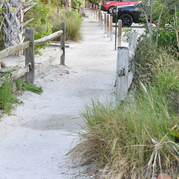 Second Pine Avenue RFP authorized