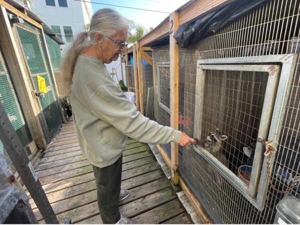 Wildlife Inc. co-founders hope to re-open soon