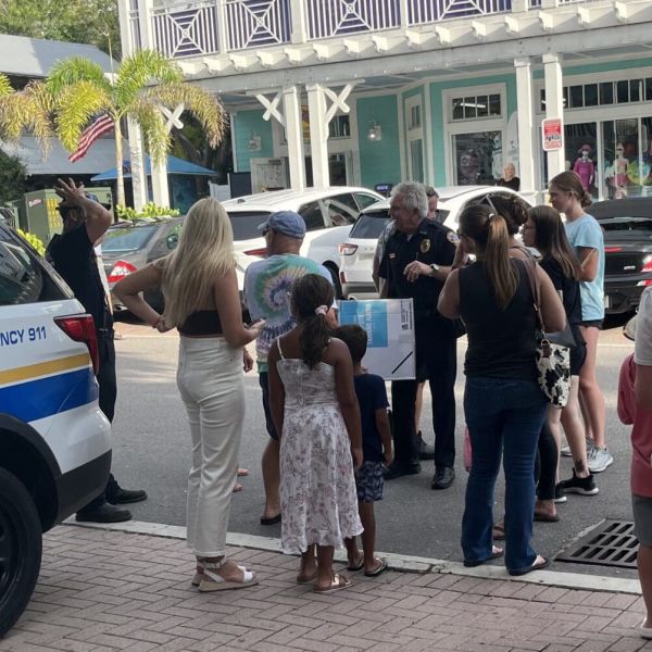 Sea turtles rescued on Bridge Street