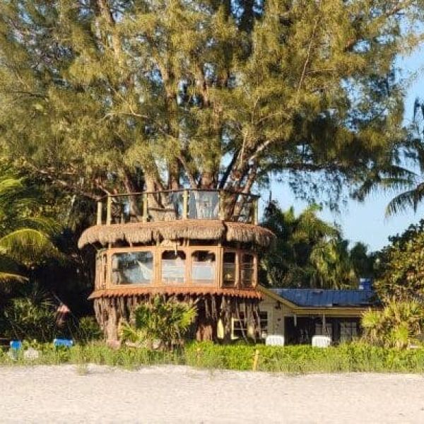 Tree house closer to demolition