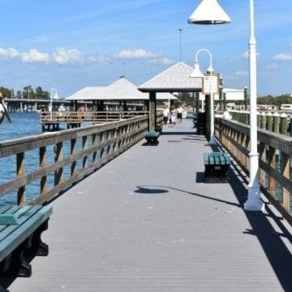 Editorial - tropical perspective