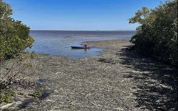 2024-25 budget passes first hearing