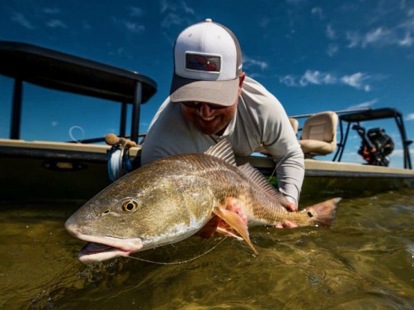 Tune up for the redfly