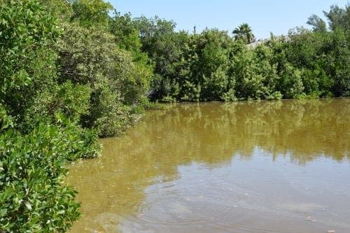 Problems plague Spring Lake residents