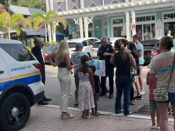 Sea turtles rescued on Bridge Street