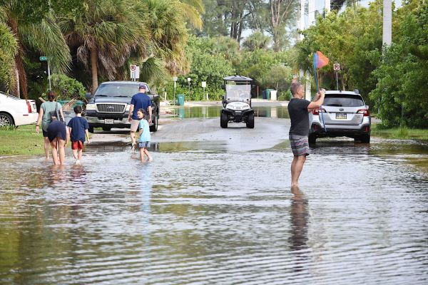 Elsa takes it easy on Anna Maria Island