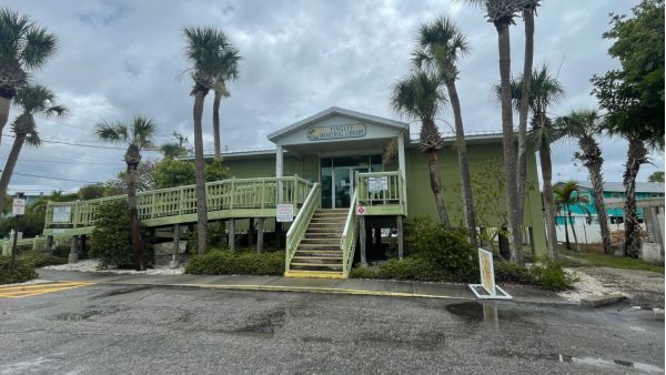 Tingley Library to be tented for termites