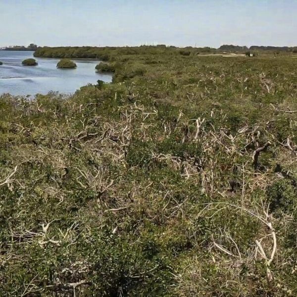 Reel Time: Worth