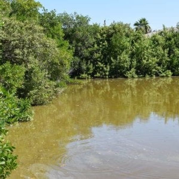 Problems plague Spring Lake residents