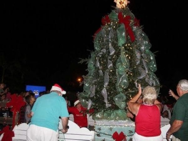 Christmas tree lighting
