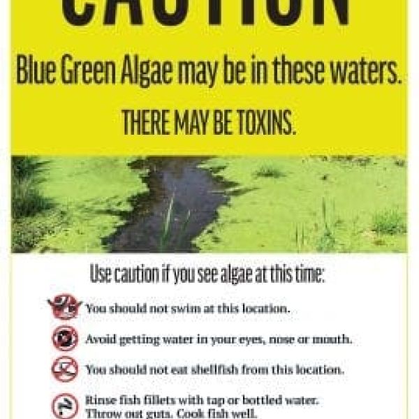 Blue-green algae warning signs coming