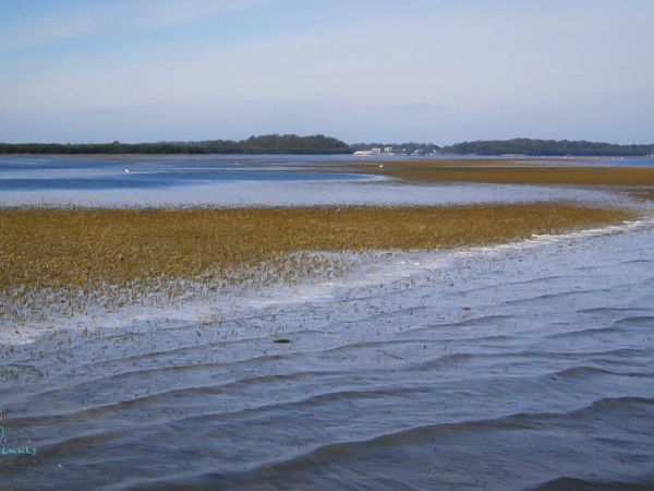 Reel Time: The ups and downs of tides