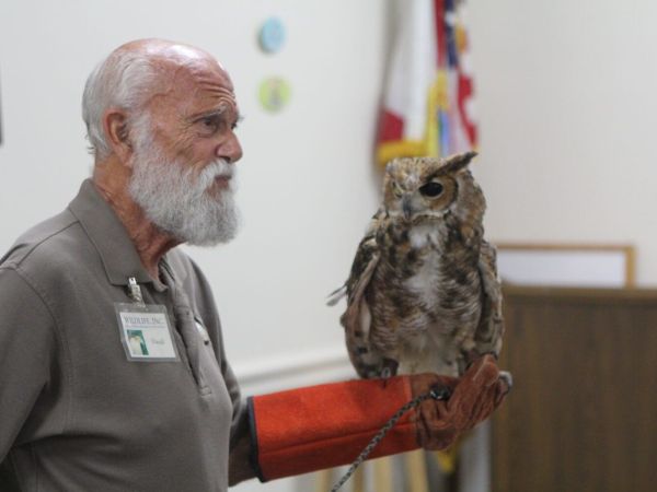 Owl presentation a &lsquo;hoot&rsquo; at Island Branch Library