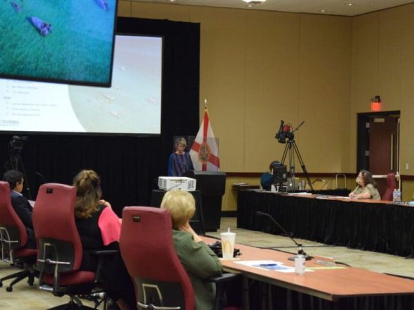 Tourism is rebounding in Manatee County