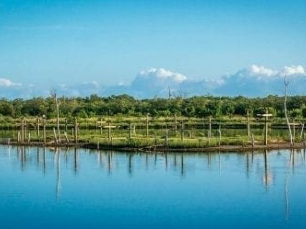 Perico Preserve
