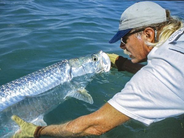 Reel Time: Catch and release