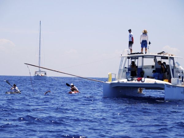 Film celebrates Nyad&rsquo;s historic swim from Cuba to Key West