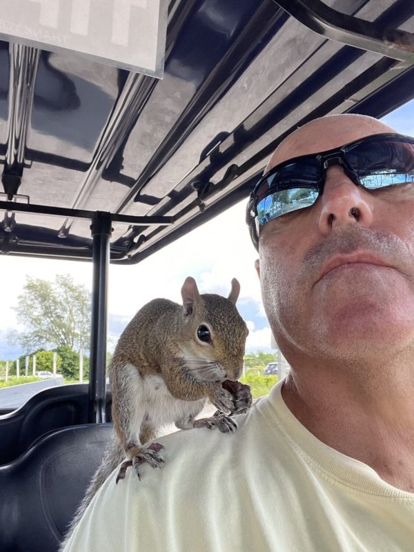 DOH warns against feeding wild animals