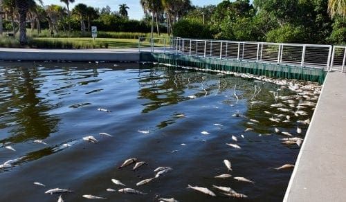 Reel Time: Pulitzer Prize winning author to speak