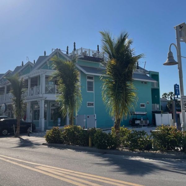 Eighty new coconut palms line Bridge Street