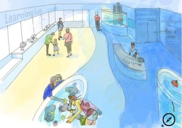 City, Mote Marine move forward on pier facility