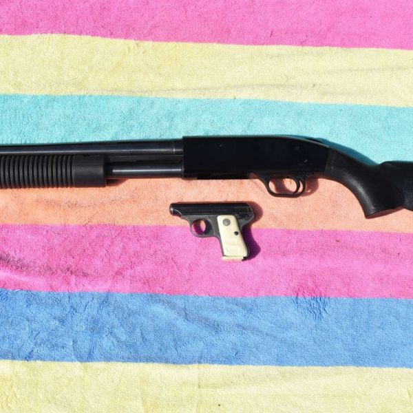 Court ruling allows openly carried guns in public places