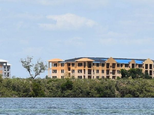 FDEP investigating Aqua&rsquo;s mangrove trimming