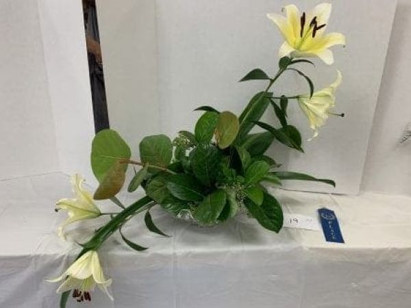 AMI Garden Club goes Hollywood