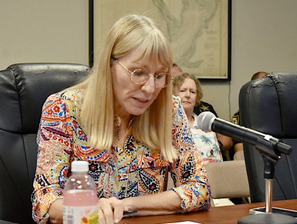 Vacation rental bills advancing