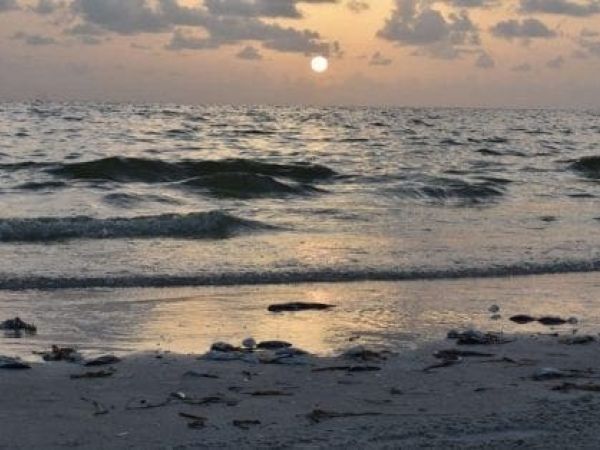 Red Tide Sunset