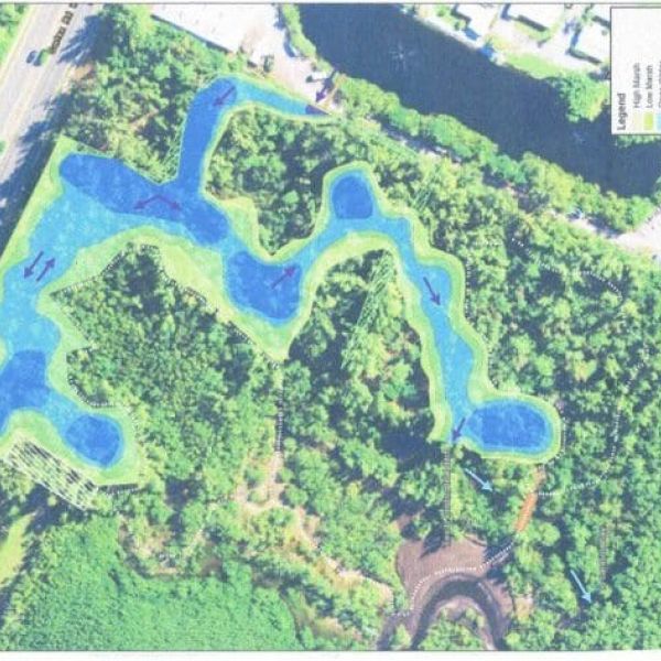 Trails, bridges, planned for FISH Preserve