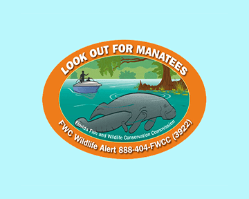 manatee decal