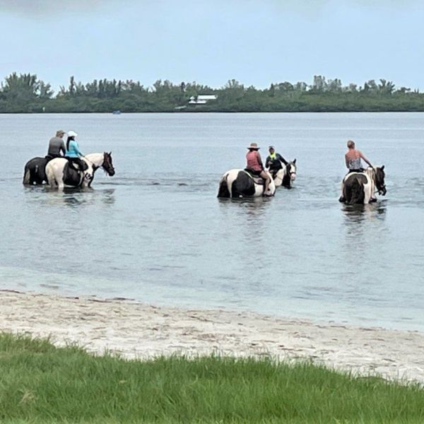 Palma Sola Bay impacted by several sources