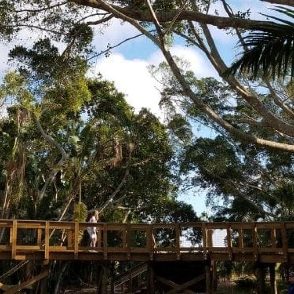 NEST at Robinson Preserve